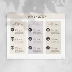 3 Step Roadmap