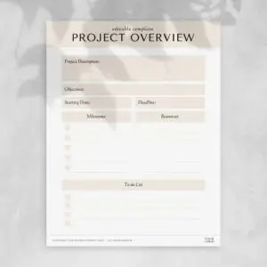 Project Overview